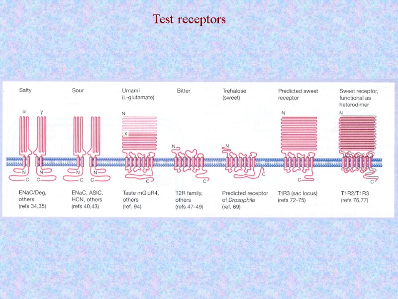 Test receptors